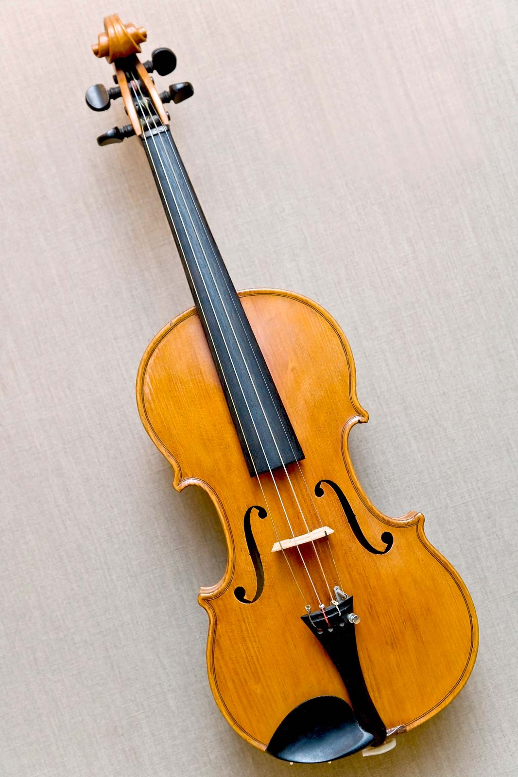 Violin classes in Vasant Kunj Delhi and Gurgaon